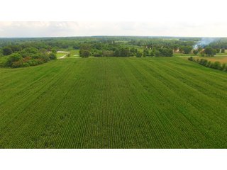 TRACT 68 - ILLINOIS LAND AUCTION - 4,810+/- ACRES OFFERED IN 85 TRACTS IN FRANKLIN, WILLIAMSON, HAMILTON & SALINE COUNTIES, ILLINOIS